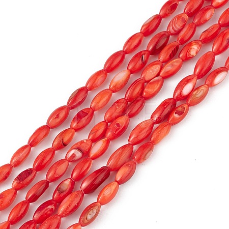 Natural Freshwater Shell Dyed Beads Strands SHEL-M018-13-05-1