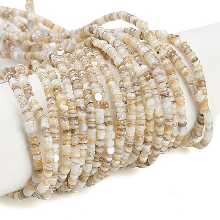 Natural Freshwater Shell Beads Strands BSHE-H109-13A-1
