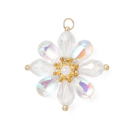 Glass Beaded Pendants PALLOY-MZ01186-01-1