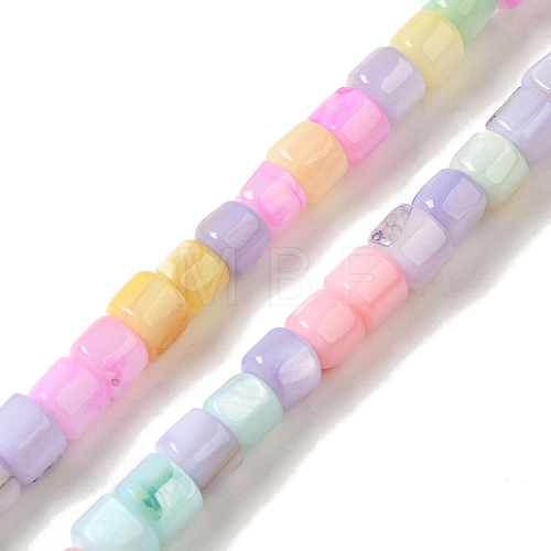 Rainbow Color Dyed Natural Freshwater Shell Beads Strands X1-SHEL-G018-02D-1