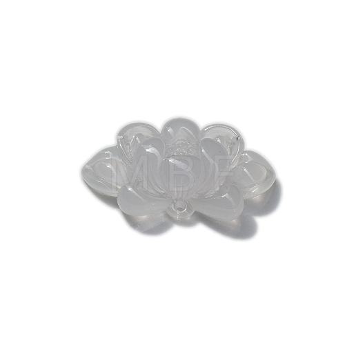 10Pcs Resin Imitation Xiuyan Jade Pendants PW-WG82645-01-1