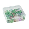 Transparent Glass Beads GLAA-FS0001-79-6