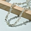 Natural Prehnite Chip Beaded Necklaces for Men Women NJEW-G159-01Q-2