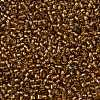 TOHO Round Seed Beads X-SEED-TR11-0278-2