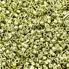 Electroplate Glass Seed Beads SEED-S042-01B-09-3