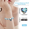 Natural Abalone Shell/Paua Shell Beads SHEL-BBC0001-02-2