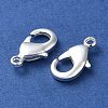 Rack Plating Brass Lobster Claw Clasps KK-F090-27S-03-2