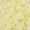 Transparent Colours Glass Seed Beads SEED-P008-01B-10-2