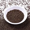 MIYUKI Delica Beads SEED-MY11-DB1051-2