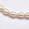 Natural Cultured Freshwater Pearl Beads Strands PEAR-F007-76A-01-3