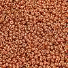 MIYUKI Round Rocailles Beads SEED-G007-RR4207-2