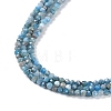 Natural Apatite Beads Strands G-G139-A02-01-4