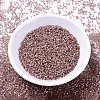 MIYUKI Delica Beads X-SEED-J020-DB1879-2