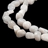 Natural Rainbow Moonstone Beads Strands G-P497-01E-69A-4