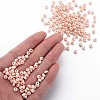 6/0 Glass Seed Beads SEED-T005-14-B02-5