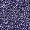 TOHO 11/0 Round Beads LS-X-SEED-TR11-PF0567-2