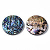 Natural Abalone Shell/Paua Shell Pendants SSHEL-N034-86-2