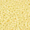 Opaque Baking Paint Glass Seed Beads SEED-T008-02B-3