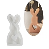 Rabbit Shape DIY Display Decoration Silicone Molds DIY-K073-08C-1