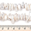 Electroplated Shell Pearl Beads BSHE-D301-01-4
