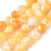 Natural Yellow Shell Beads Strands SH-CBACA76-16C-1