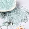 Transparent Colours Glass Seed Beads SEED-P007-02A-09-1