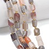 Natural Botswana Agate Beads Strands G-C270-K16-1
