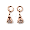 Brass Micro Pave Cubic Zirconia Charms ZIRC-G133-04RG-1-1