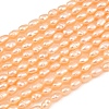 Natural Cultured Freshwater Pearl Beads Strands PEAR-F020-26B-2