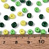 Opaque & Transparent Glass Seed Beads SEED-Q041-06D-4