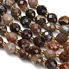 Natural Petrified Wood Beads Strands GG-CBA4A3B-A08-3