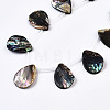 Natural Paua Shell/Abalone Shell Beads Strands SSHEL-Q312-001-3