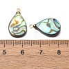 Natural Abalone Shell Pendants SH-CJC0AC7-01B-G-3