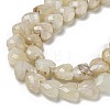 Natural Rainbow Moonstone Beads Strands G-P544-E06-01-4