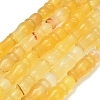 Natural Agate Beads Strands G-Z144-A02-01C-2