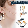 30Pcs Brass Stud Earring Findings KK-BBC0005-04-2