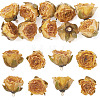 10Pcs Preserved Rose Pendants KY-TA0001-59D-1