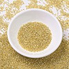 MIYUKI Delica Beads SEED-MY11-DB0042-2