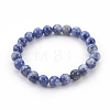 Natural Picasso/Sodalite/Dragon Veins Agate/Zebra Jasper Stretch Bracelets Sets BJEW-MSMC002-33-2