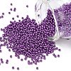 12/0 Grade A Round Glass Seed Beads SEED-Q009-FJX33-1