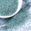 MIYUKI Round Rocailles Beads SEED-JP0008-RR0263-1