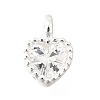 925 Sterling Silver Cubic Zirconia Charms STER-Q005-01A-A-1