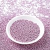 MIYUKI Round Rocailles Beads X-SEED-G007-RR1061-2