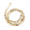 Natural Freshwater Shell Beads Strands X-BSHE-G036-03-2