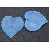 Transparent Acrylic Pendants X-PL591-5-1