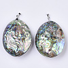 Double-Sided Natural Abalone Shell/Paua Shell Pendants SSHEL-N034-05-2