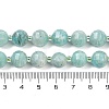 Natural Amazonite Beads Strands G-G182-B17-05-5