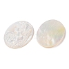 Natural White Shell Cabochons SSHEL-C012-02-2