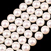 Electroplated Shell Pearl Beads Strands BSHE-C011-01D-1