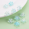 Transparent Acrylic Beads TACR-S154-45C-754-6